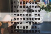 墨尔本作为一个充满活力和多元文化的城市,吸引了无数的投资者。这里的商业环境相对稳定,对于小生意来说是一个理想的地点。然而,在墨尔本这样的大城市中找到一个合适的小生意并不容易。那么,墨尔本小生意赚钱多吗?,墨尔本小生意,利润可观还是风险较大? 墨尔本作为一个充满活力和多元文化的城市,吸引了无数的投资者。这里的商业环境相对稳定,对于小生意来说是一个理想的地点。然而,在墨尔本这样的大城市中找到一个合适的小生意并不容易。那么,墨尔本小生意赚钱多吗?,墨尔本小生意,利润可观还是风险较大?
