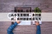 一图读懂，在农村做什么小生意赚钱，乡村振兴，农村创业机会与方法