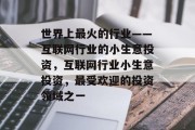 世界上最火的行业——互联网行业的小生意投资,互联网行业小生意投资,最受欢迎的投资领域之一 世界上最火的行业——互联网行业的小生意投资,互联网行业小生意投资,最受欢迎的投资领域之一