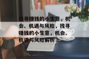 找寻赚钱的小生意,机会、机遇与风险,找寻赚钱的小生意,机会、机遇与风险解析 找寻赚钱的小生意,机会、机遇与风险,找寻赚钱的小生意,机会、机遇与风险解析