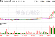 盛科通信2025年半年报:亏损同比减少至2369万元