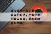 现今哪种小型企业赚取收入的方法,小型企业的收入来源,最新的趋势与策略 现今哪种小型企业赚取收入的方法,小型企业的收入来源,最新的趋势与策略