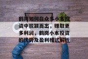鹤岗如何在众多小本投资中脱颖而出,赚取更多利润,鹤岗小本投资的优势及盈利模式解析
