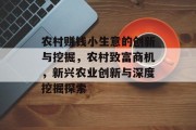 农村赚钱小生意的创新与挖掘,农村致富商机,新兴农业创新与深度挖掘探索 农村赚钱小生意的创新与挖掘,农村致富商机,新兴农业创新与深度挖掘探索