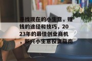 寻找现在的小生意,赚钱的途径和技巧,2023年的最佳创业商机,新兴小生意投资指南 寻找现在的小生意,赚钱的途径和技巧,2023年的最佳创业商机,新兴小生意投资指南
