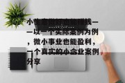 小生意做好也能赚钱——以一个实际案例为例,微小事业也能盈利,一个真实的小企业案例分享