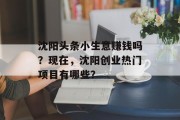 沈阳头条小生意赚钱吗?现在,沈阳创业热门项目有哪些? 沈阳头条小生意赚钱吗?现在,沈阳创业热门项目有哪些?