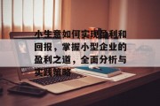 小生意如何实现盈利和回报，掌握小型企业的盈利之道，全面分析与实践策略