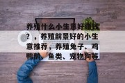 养殖什么小生意好赚钱?,养殖前景好的小生意推荐,养殖兔子、鸡鸭鹅、鱼类、宠物狗等 养殖什么小生意好赚钱?,养殖前景好的小生意推荐,养殖兔子、鸡鸭鹅、鱼类、宠物狗等