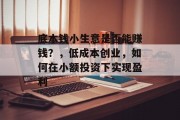 底本钱小生意是否能赚钱?,低成本创业,如何在小额投资下实现盈利 底本钱小生意是否能赚钱?,低成本创业,如何在小额投资下实现盈利
