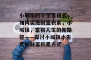 小城镇的小生意模式,如何实现财富积累,小城镇,富裕人生的新路径——探讨小城镇小生意的财富积累方式 小城镇的小生意模式,如何实现财富积累,小城镇,富裕人生的新路径——探讨小城镇小生意的财富积累方式