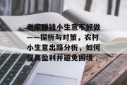 老家赚钱小生意不好做——探析与对策,农村小生意出路分析,如何提高盈利并避免困境