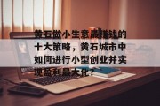 黄石做小生意最赚钱的十大策略，黄石城市中如何进行小型创业并实现盈利最大化？
