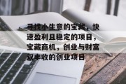 寻找小生意的宝藏,快速盈利且稳定的项目,宝藏商机,创业与财富双丰收的创业项目 寻找小生意的宝藏,快速盈利且稳定的项目,宝藏商机,创业与财富双丰收的创业项目