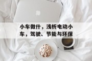 小车做什,浅析电动小车,驾驶、节能与环保 小车做什,浅析电动小车,驾驶、节能与环保