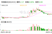 棕榈股份：公司尚未开始实施本次股份回购