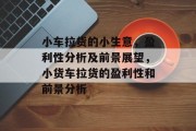 小车拉货的小生意,盈利性分析及前景展望,小货车拉货的盈利性和前景分析