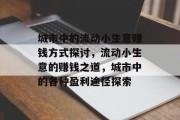城市中的流动小生意赚钱方式探讨,流动小生意的赚钱之道,城市中的各种盈利途径探索