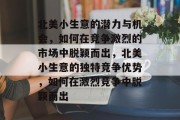 北美小生意的潜力与机会,如何在竞争激烈的市场中脱颖而出,北美小生意的独特竞争优势,如何在激烈竞争中脱颖而出 北美小生意的潜力与机会,如何在竞争激烈的市场中脱颖而出,北美小生意的独特竞争优势,如何在激烈竞争中脱颖而出