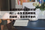 西藏赚钱的小生意好做吗?,小生意西藏赚钱的秘密,适合初学者的项目 西藏赚钱的小生意好做吗?,小生意西藏赚钱的秘密,适合初学者的项目