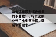 哈尔滨有哪些适合创业的小生意？，哈尔滨创业热门小生意推荐，满足你的需求