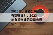 2023年,哪些公司有望赚钱?,2023年有望赚钱的公司有哪些?