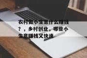 农村做小生意什么赚钱?,乡村创业,哪些小生意赚钱又快速 农村做小生意什么赚钱?,乡村创业,哪些小生意赚钱又快速