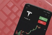 发布会无惊喜，特斯拉股票在Robinhood上的隔夜交易中下跌