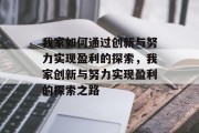 我家如何通过创新与努力实现盈利的探索，我家创新与努力实现盈利的探索之路