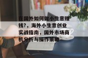在国外如何做小生意赚钱?,海外小生意创业实战指南,国外市场商机分析与操作策略 在国外如何做小生意赚钱?,海外小生意创业实战指南,国外市场商机分析与操作策略