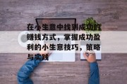在小生意中找到成功的赚钱方式，掌握成功盈利的小生意技巧，策略与实践