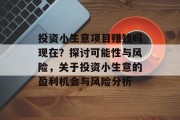 投资小生意项目赚钱吗现在？探讨可能性与风险，关于投资小生意的盈利机会与风险分析