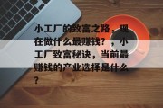 小工厂的致富之路,现在做什么最赚钱?,小工厂致富秘诀,当前最赚钱的产业选择是什么? 小工厂的致富之路,现在做什么最赚钱?,小工厂致富秘诀,当前最赚钱的产业选择是什么?