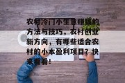农村冷门小生意赚钱的方法与技巧，农村创业新方向，有哪些适合农村的小本盈利项目？快来看看！