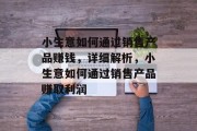 小生意如何通过销售产品赚钱,详细解析,小生意如何通过销售产品赚取利润