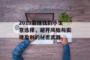 2019最赚钱的小生意选择,避开风险与实现盈利的秘密武器