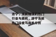 遂宁,当前赚钱的热门行业与商机,遂宁当前热门行业与商机分析 遂宁,当前赚钱的热门行业与商机,遂宁当前热门行业与商机分析
