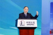李书福:发展绿色甲醇是全球能源转型的大势所趋