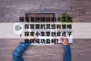 探索各种赚钱的小生意,你需要的灵感和策略,探索小生意创业点子,如何成功盈利?