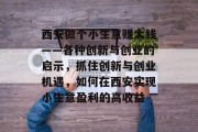 西安做个小生意赚大钱——各种创新与创业的启示，抓住创新与创业机遇，如何在西安实现小生意盈利的高收益