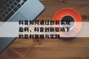 科音如何通过创新实现盈利，科音创新驱动下的盈利策略与实践