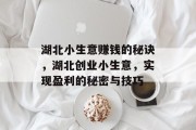 湖北小生意赚钱的秘诀,湖北创业小生意,实现盈利的秘密与技巧 湖北小生意赚钱的秘诀,湖北创业小生意,实现盈利的秘密与技巧