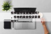 桂林做小生意赚钱吗?,桂林的商业投资前景如何? 桂林做小生意赚钱吗?,桂林的商业投资前景如何?