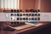 夏日炎炎,如何在众多的小商品中找到盈利点?,夏日爆款小商品营销策略分析