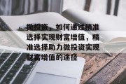 微投资，如何通过精准选择实现财富增值，精准选择助力微投资实现财富增值的途径