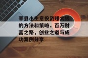 莘县小生意投资赚大钱的方法和策略，百万财富之路，创业之道与成功案例分享