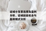 运城小生意选择及盈利分析,运城创业机会与盈利模式分析 运城小生意选择及盈利分析,运城创业机会与盈利模式分析