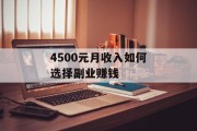 4500元月收入如何选择副业赚钱 4500元月收入如何选择副业赚钱