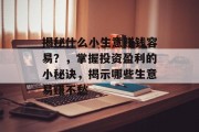 揭秘什么小生意赚钱容易?,掌握投资盈利的小秘诀,揭示哪些生意易赚不愁 揭秘什么小生意赚钱容易?,掌握投资盈利的小秘诀,揭示哪些生意易赚不愁