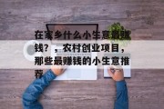 在家乡什么小生意最赚钱?,农村创业项目,那些最赚钱的小生意推荐